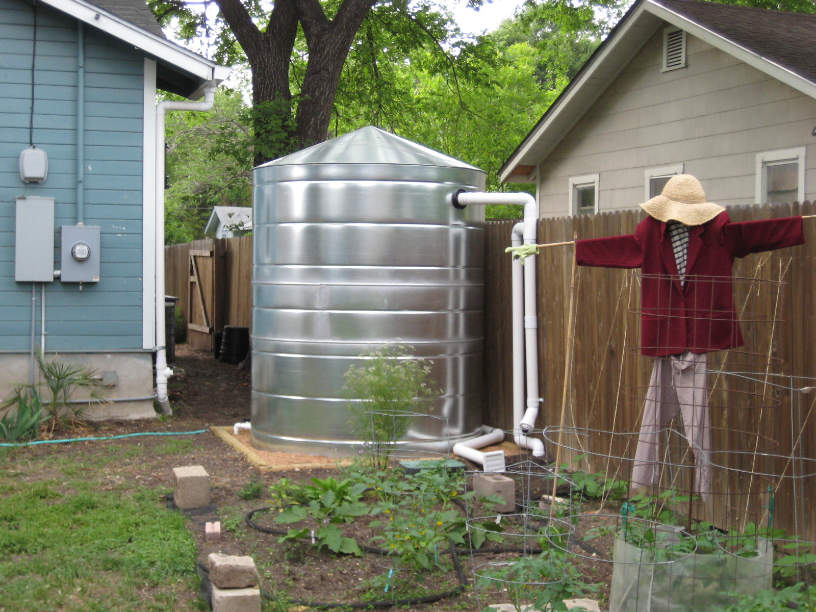 Rainwater collection and urban vegetable gardening