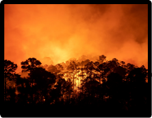 2011 – Bastrop & Steiner Ranch Fires
